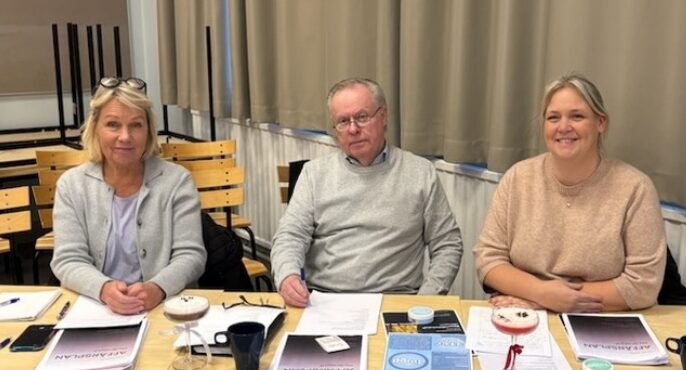 qlean scandinavia i Linköping